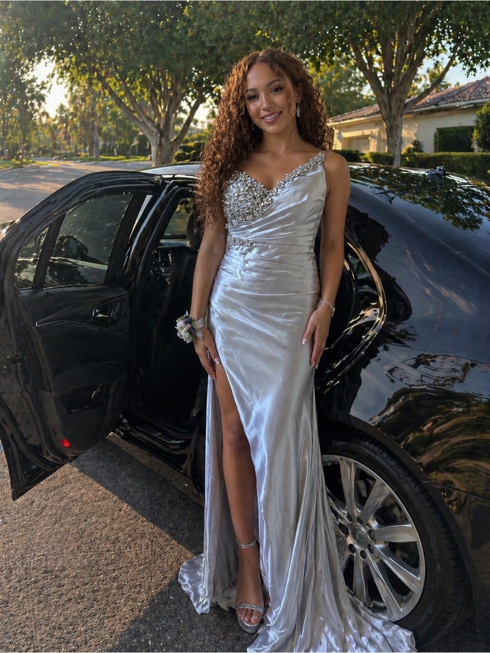 Silver Embellished Evening Gown